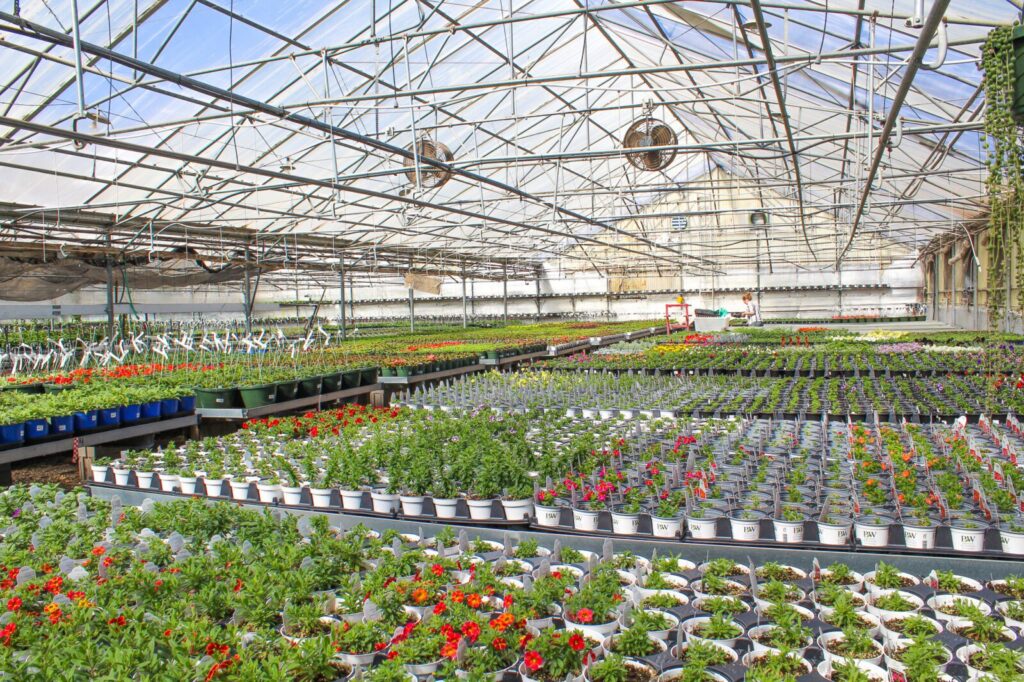City Floral historic greenhouse with indoor houseplants and tropical greens in Denver