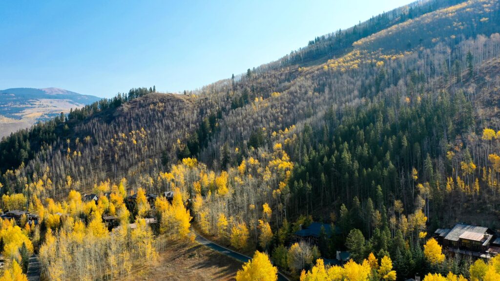 Cascade Village - Usaj Realty