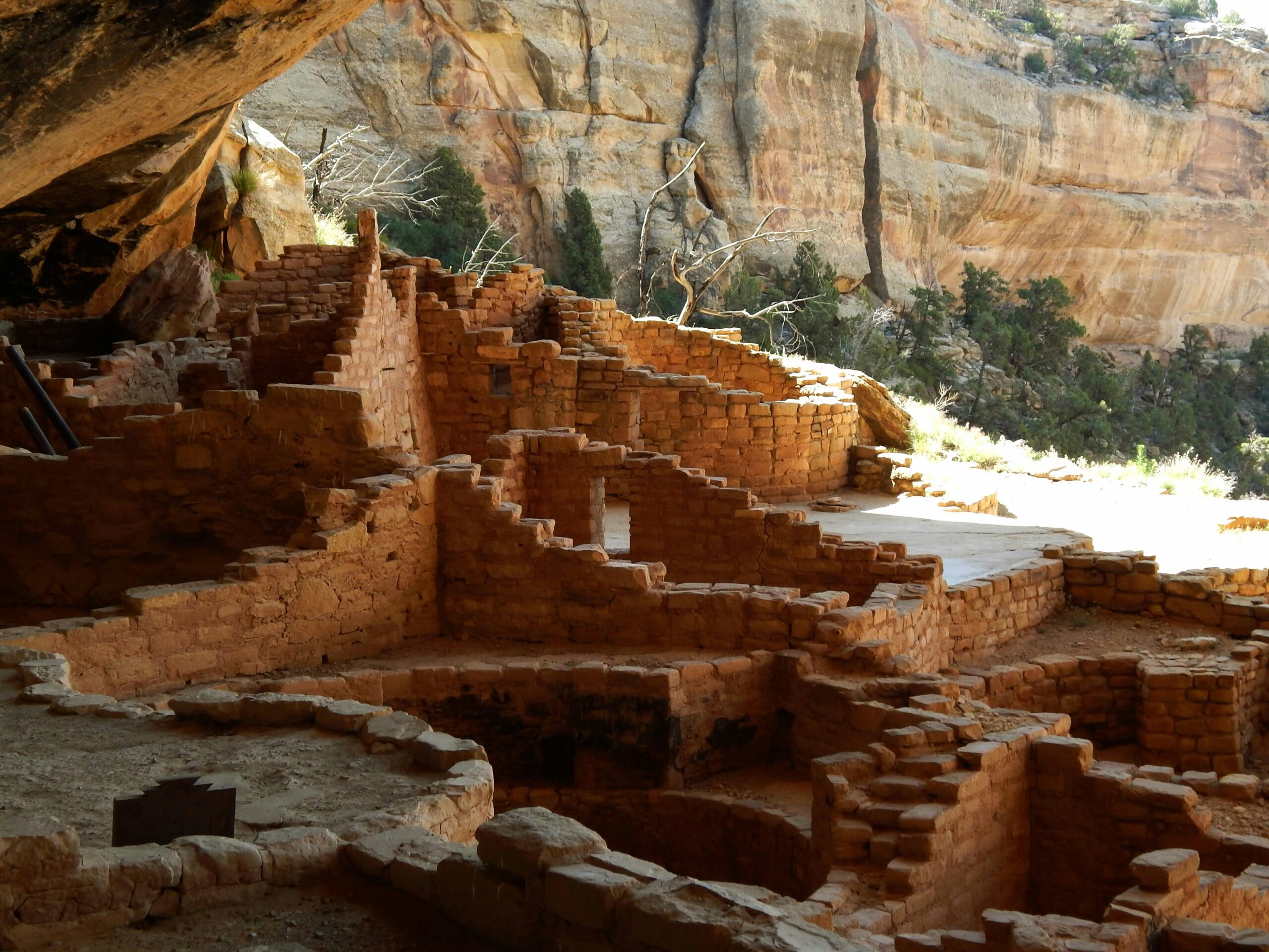 Mesa Verde Cliff Dwellings