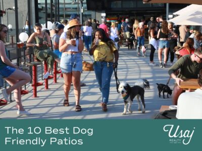 A large crowd of people gathers on a rooftop patio for drinks and food. Dogs on leashes are being walked along the patio. Beneath the photo the text reads "The 10 Best Dog Friendly Patios" next to the Usaj Realty logo.