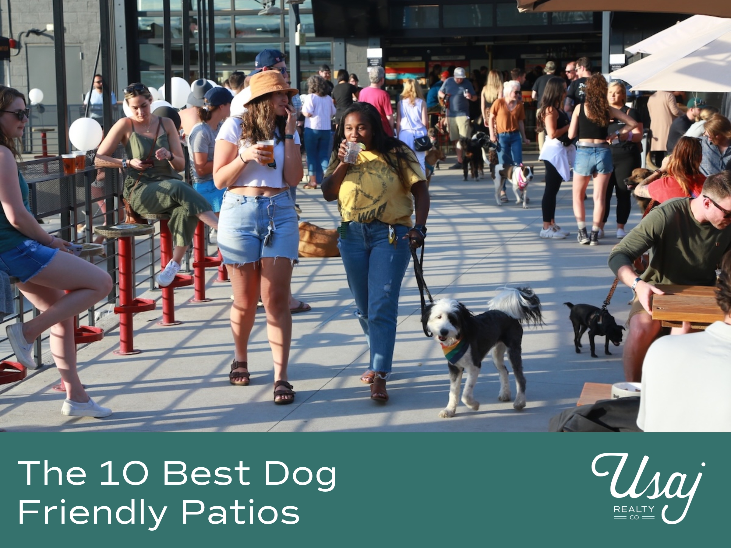 A large crowd of people gathers on a rooftop patio for drinks and food. Dogs on leashes are being walked along the patio. Beneath the photo the text reads "The 10 Best Dog Friendly Patios" next to the Usaj Realty logo.