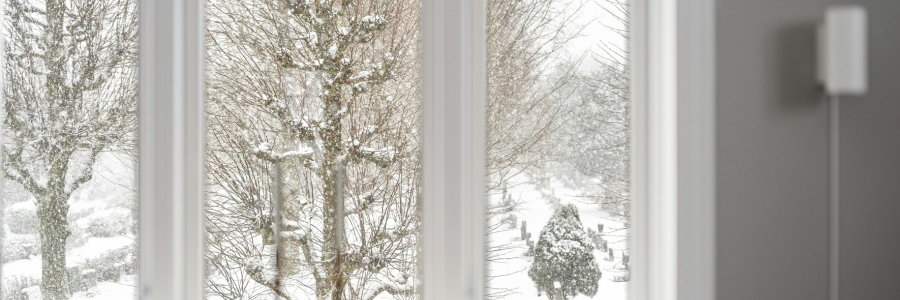 Inside a home looking out at a snowy hill and trees, titled "Winter Inspection in Colorado"